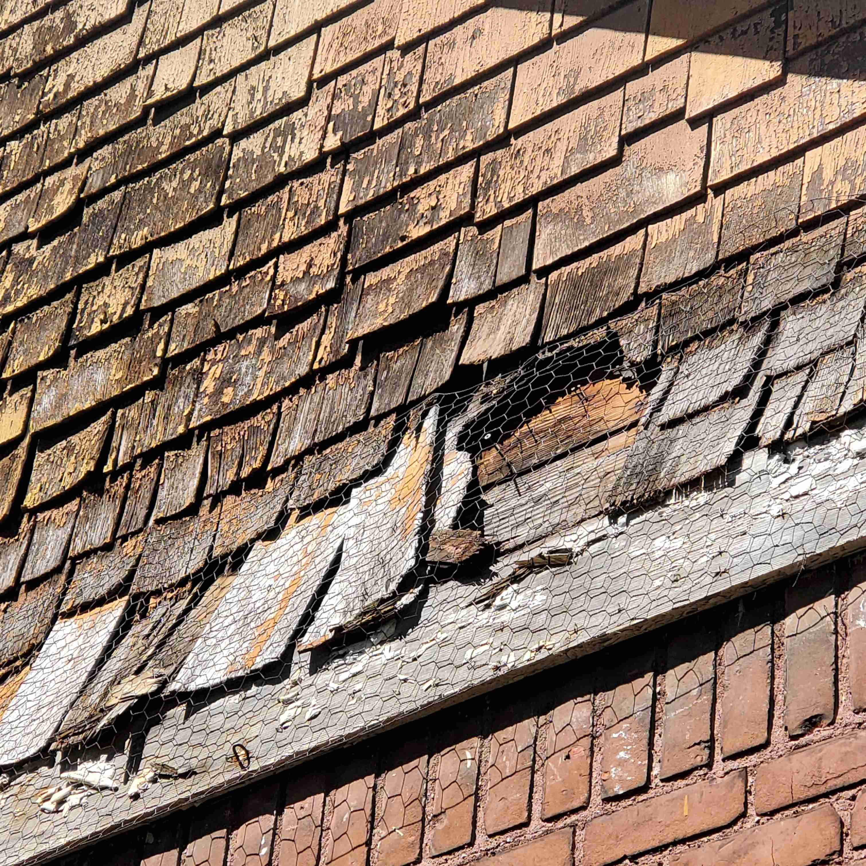 20200819_142750 (2).jpg